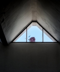 Espacios dispersos | Fernando Der Meguerditchian