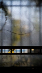 Espacios dispersos | Fernando Der Meguerditchian