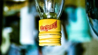 Espacios dispersos | Fernando Der Meguerditchian