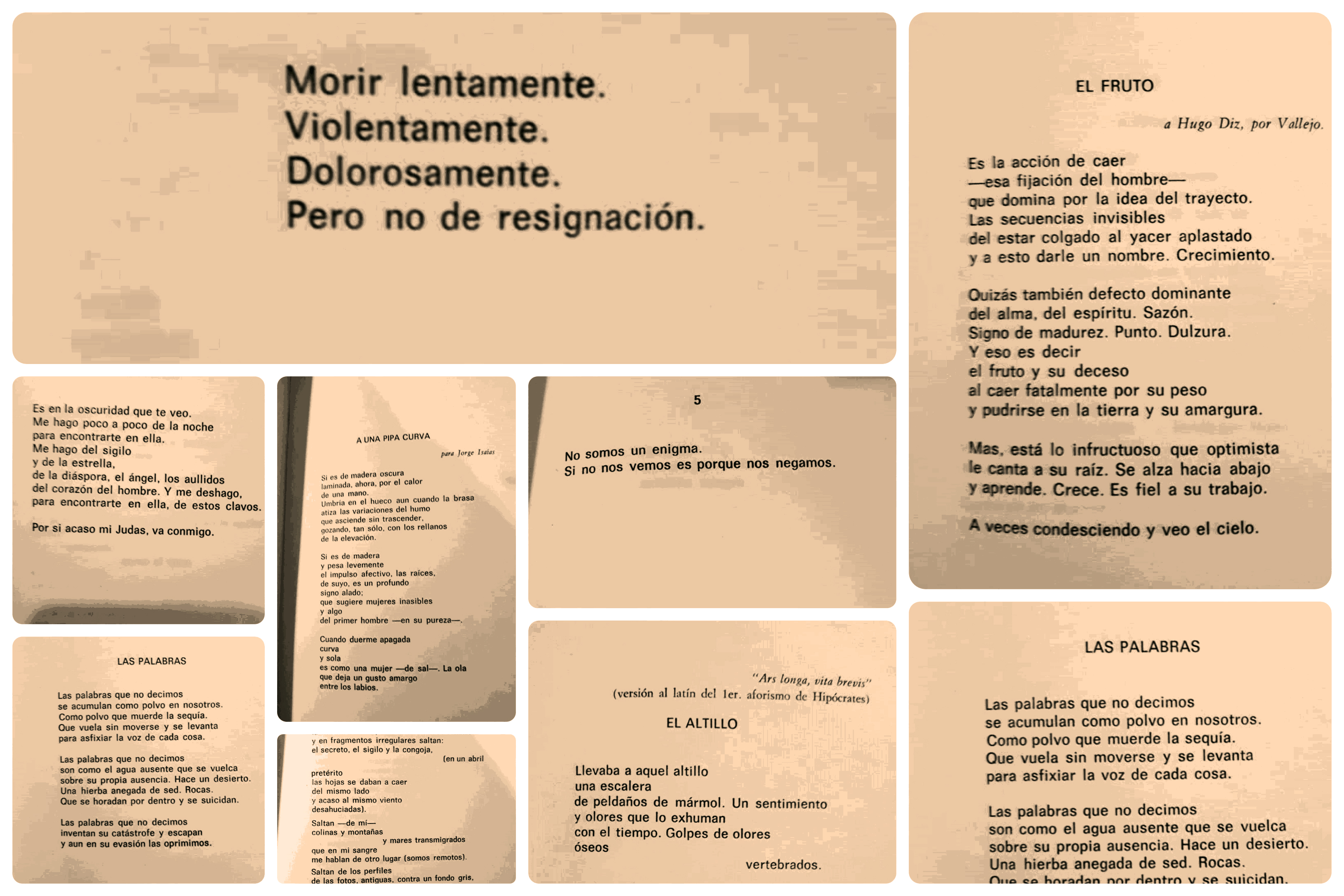 Transcripciones: cinco poemas de Concepción Bertone